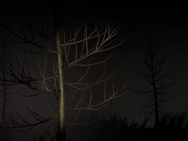 Mysterious Night: The First Night