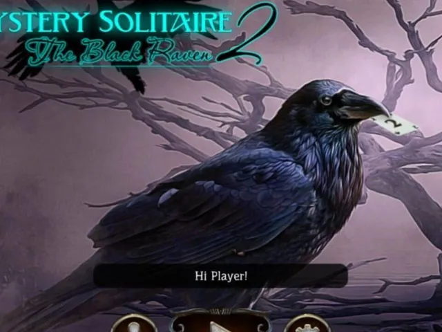 Mystery Solitaire: The Black Raven 2