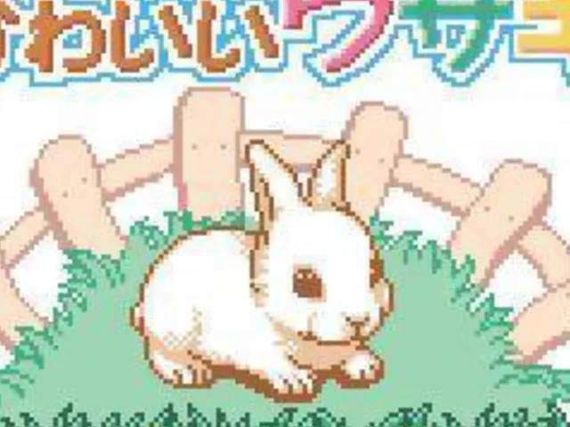 Nakayoshi Pet Series 2: Kawaii Usagi