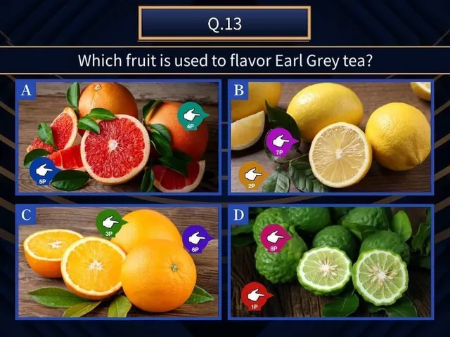 National Quiz of Common Sense