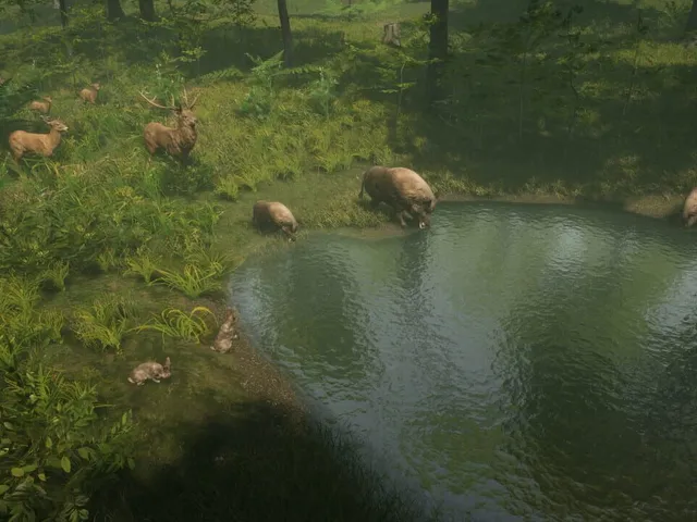 Natural Instincts