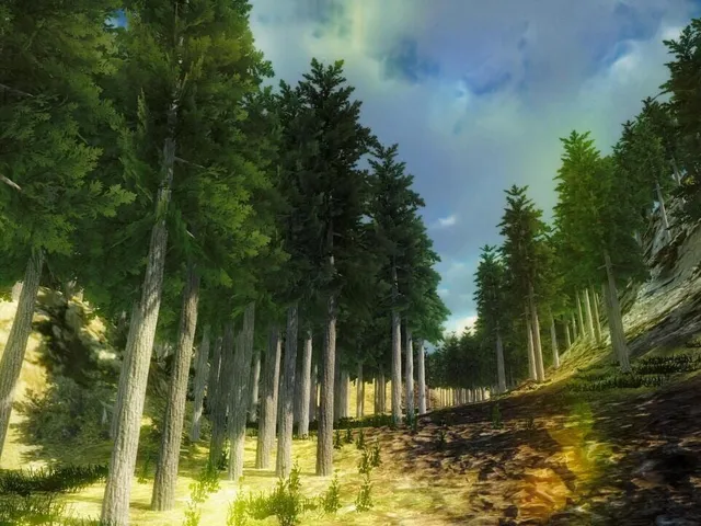 Nature Walk Simulator