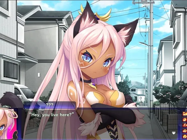 Neko Night