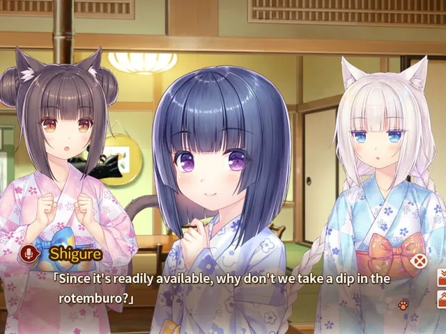 Nekopara Vol. 4