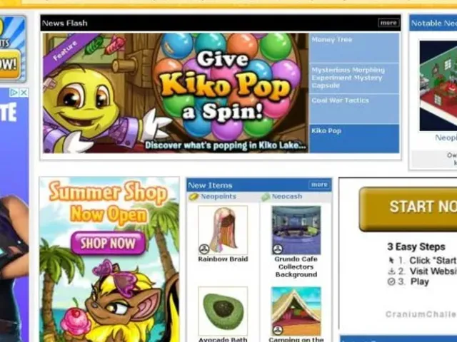 Neopets Browser