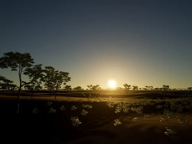 New Dawn