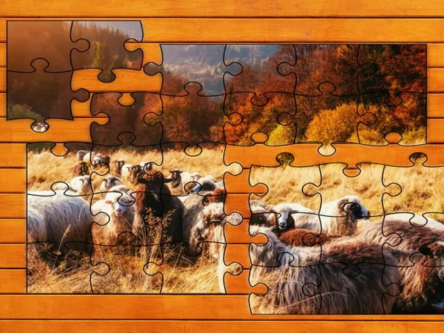 New Zealand Jigsaw Puzzles