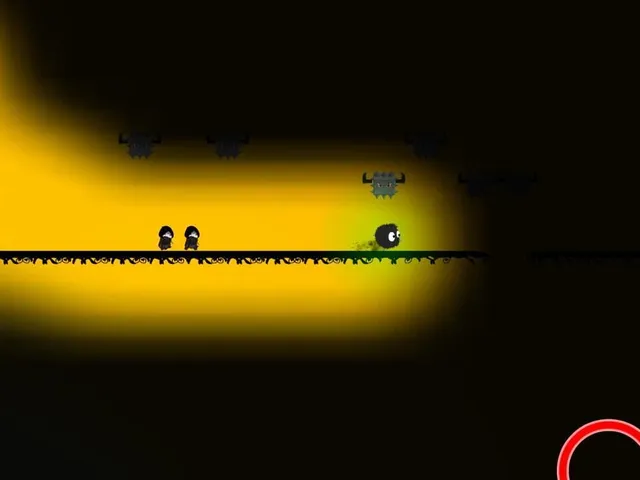 Night Fly