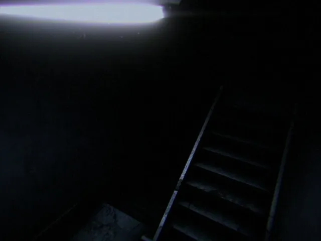 Night Security