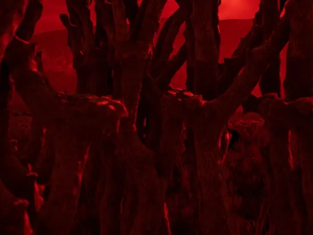 Nightmares of the death