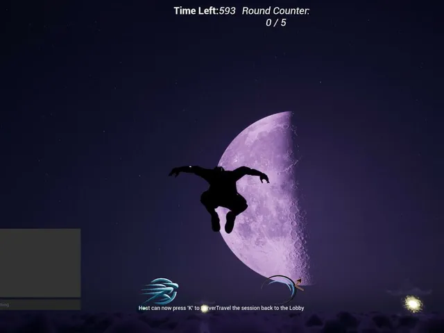 Ninja Ball
