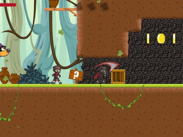 Ninja Buddy Epic Quest