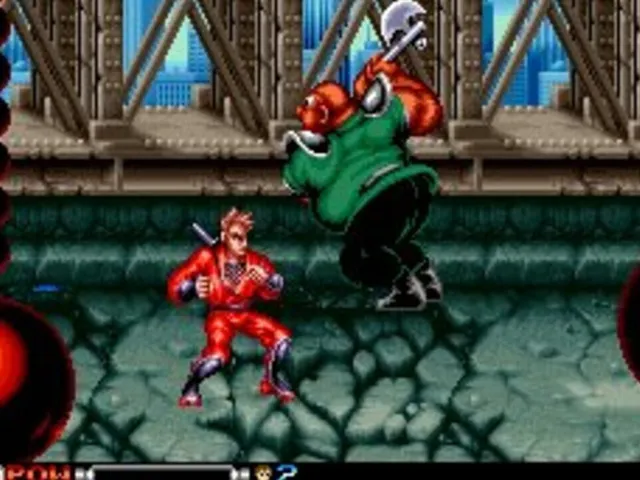 Ninja Combat