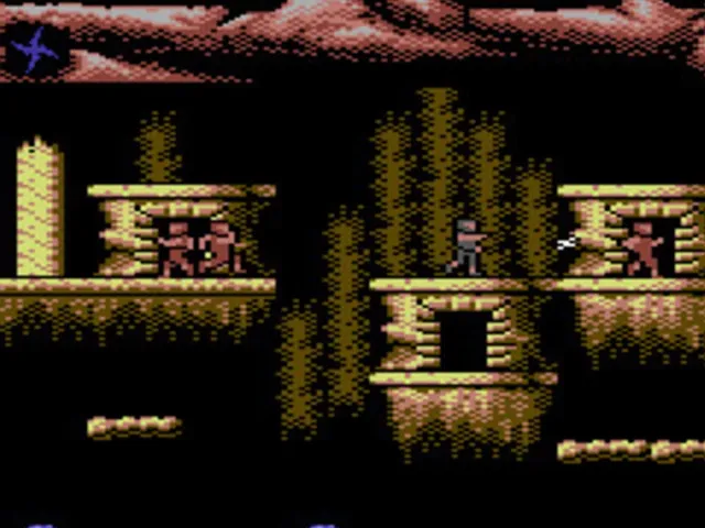 Ninja Commando