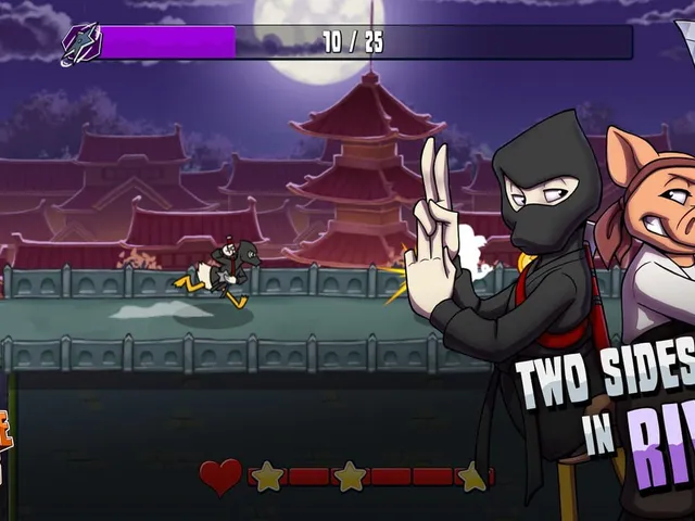 Ninja Ducks vs Pirate Pigs