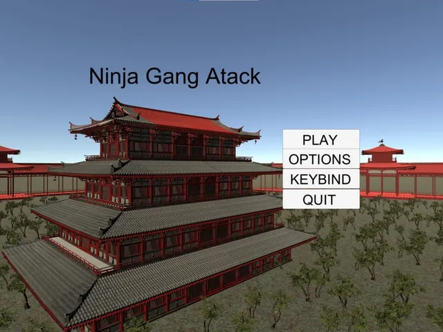 Ninja Gang Atack