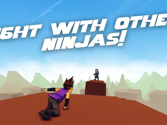 Ninja Remix
