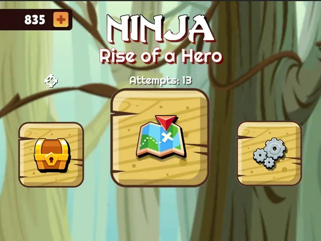 Ninja: Rise of a Hero