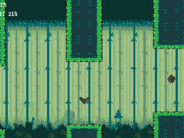 Ninja Run!