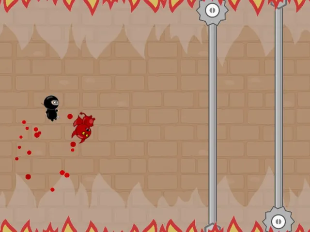 Ninja Shurican