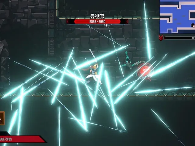 Ninja Soul