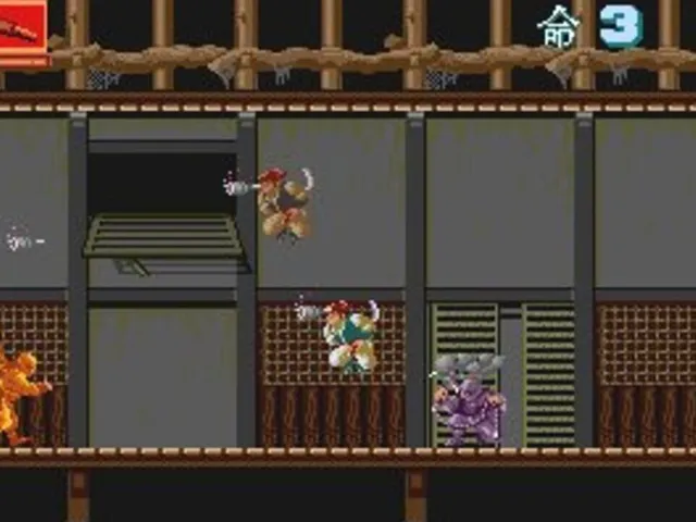 Ninja Spirit