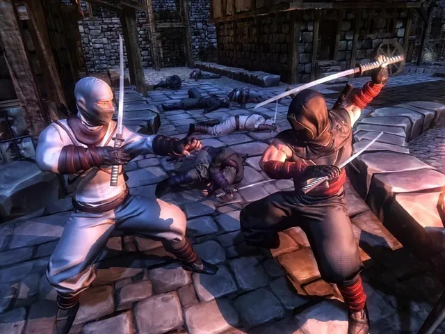 Ninja War Hero