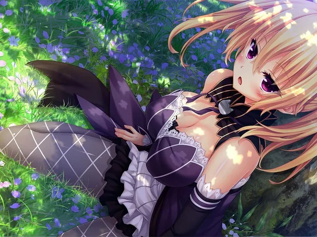 Nora to Oujo to Noraneko Heart HD Version