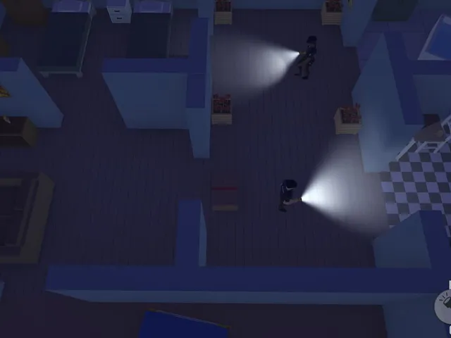 Not A Thief Simulator