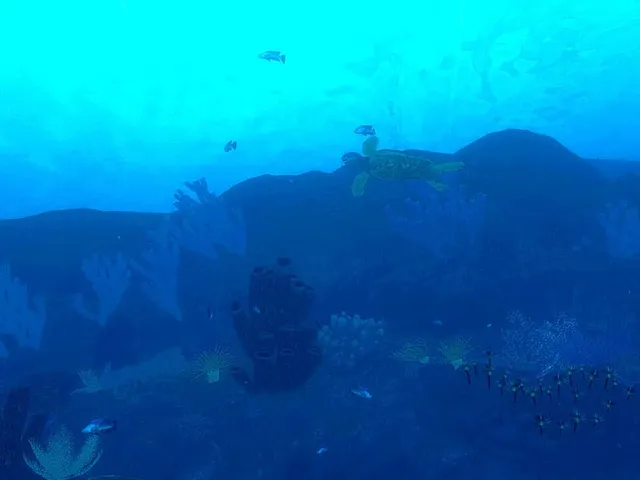Ocean's Treasures