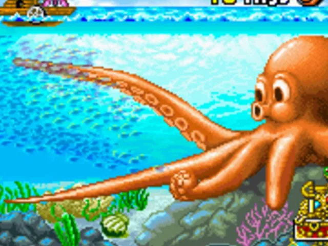 Octopus