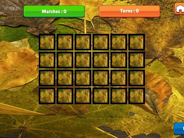 OG Memory: Fall 2K23
