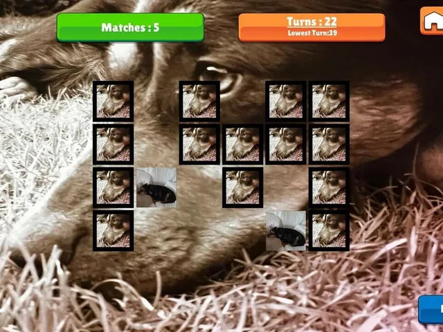 OG Memory: Kira Maus