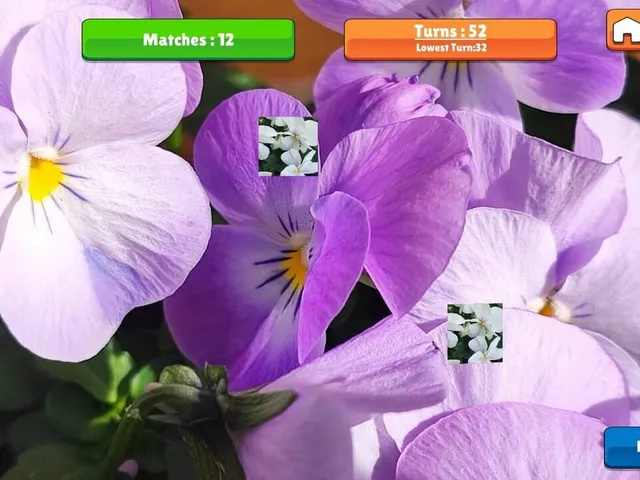 OG Memory: Spring 2K24