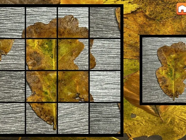 OG Puzzlers: Fall 2K23