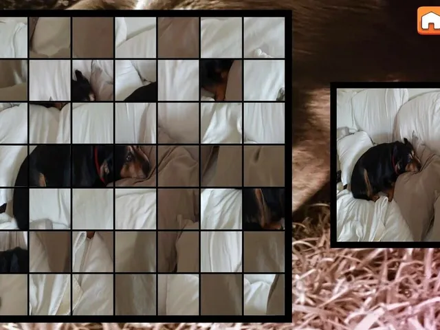 OG Puzzlers: Kira Maus