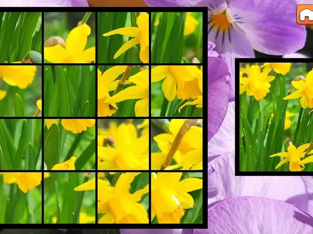 OG Puzzlers: Spring 2K24