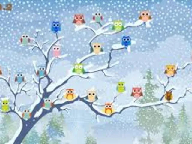 Owls