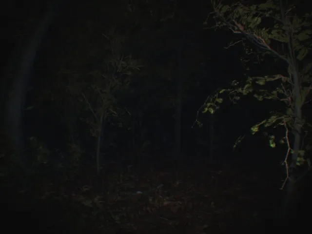Paranormal Tales