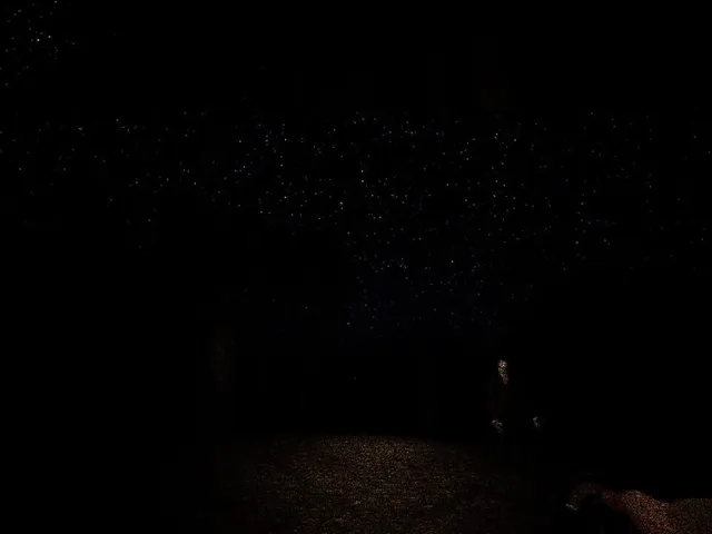 Park Ranger: Lost in the Woods