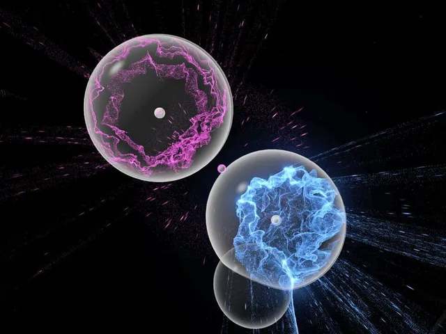 Particulate