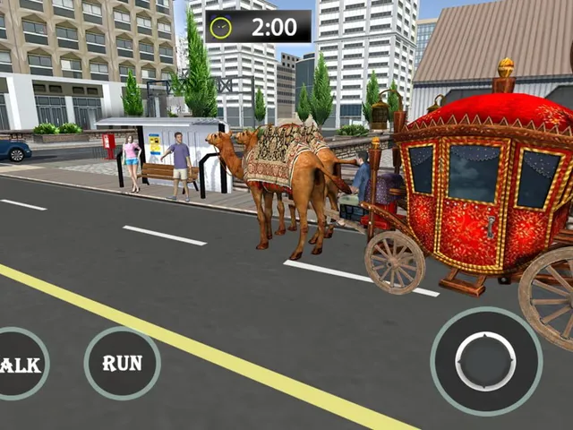 Passenger Camel Taxi Driving