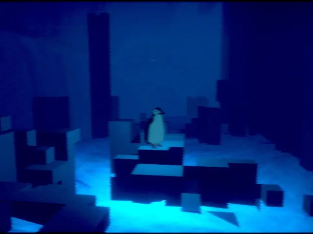 Penguin Colony