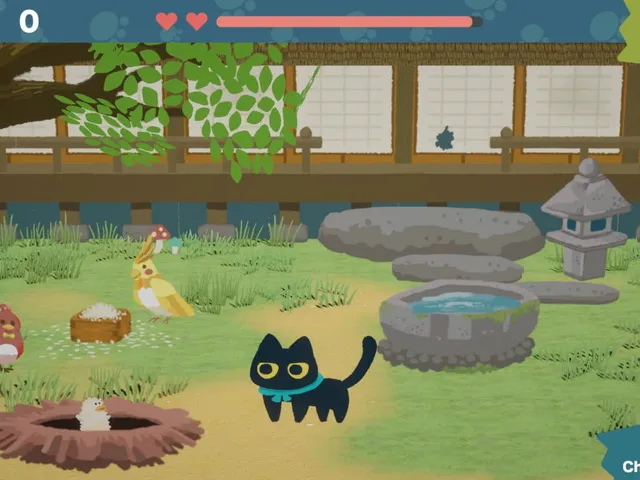 Perfect Bird Pitch