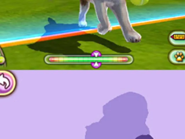 Pet Inn 3D