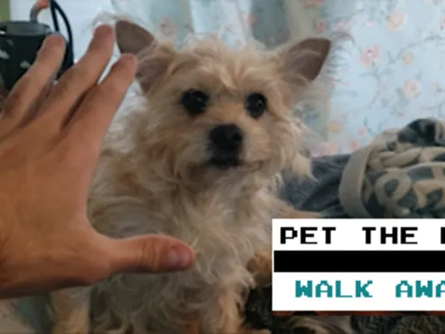 Pet the Dog?