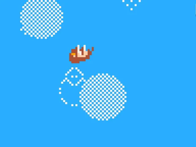 Pico Pirates