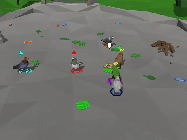 Pigeon Fight