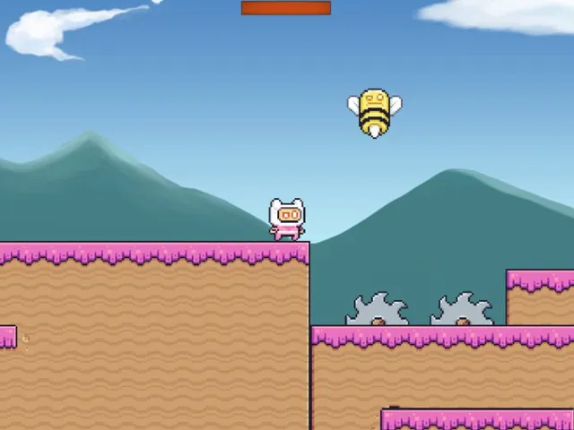 PinkMan Adventure