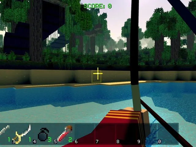 Piratecraft